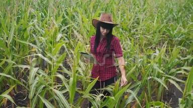 智慧<strong>生态</strong>农业<strong>养殖</strong>理念.. 农民女孩植物研究员在检查玉米时使用和触摸平板电脑